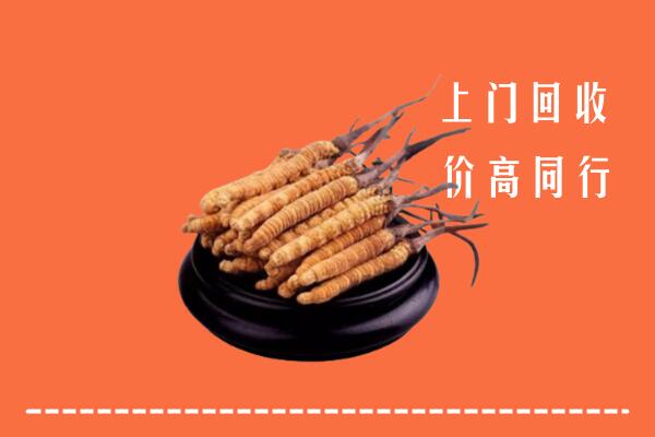高价求购：龙泉驿区回收散虫草