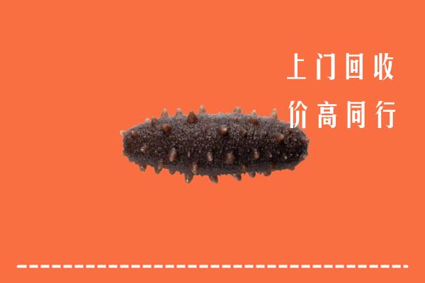 龙泉驿区回收海参