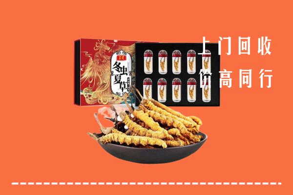 龙泉驿区回收虫草